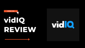 vidIQ Review