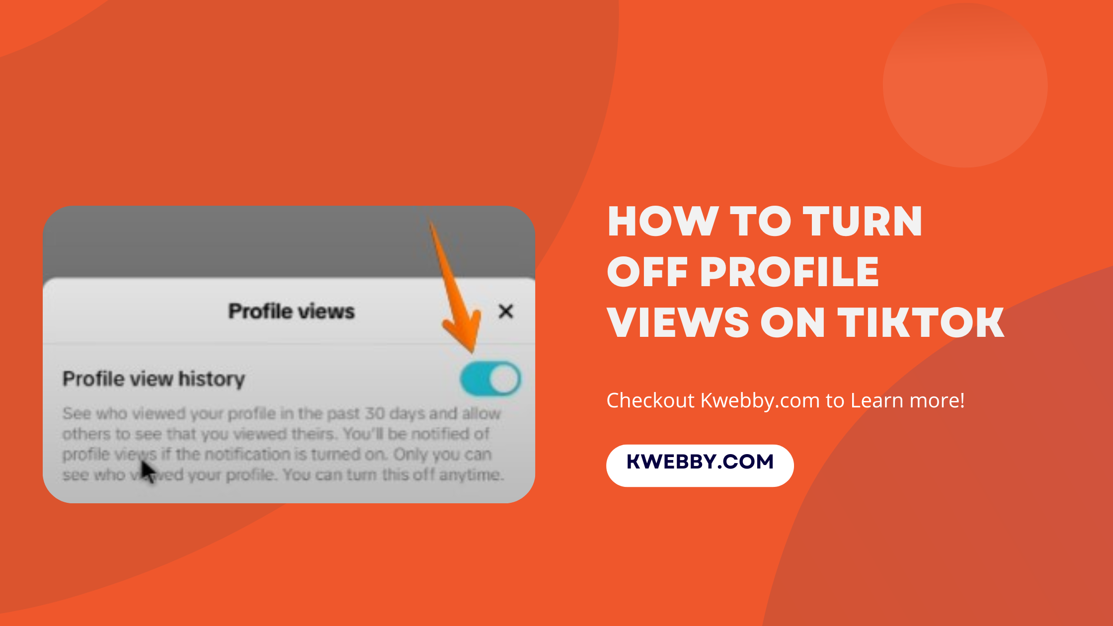 How to Turn Off Profile Views on TikTok (2 Easy Methods) 34