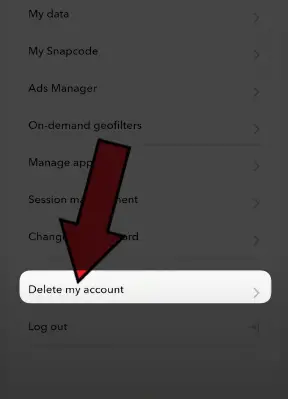 How to Delete Snapchat Account in a Few Taps 13